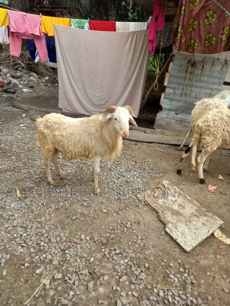 Home FARMER