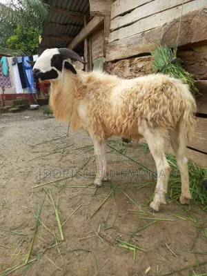 Home FARMER