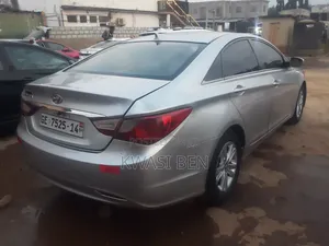 Hyundai Sonata 2010 Gray