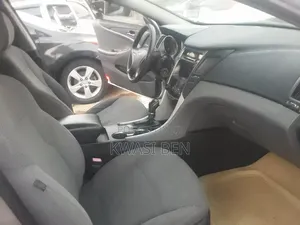 Hyundai Sonata 2010 Gray