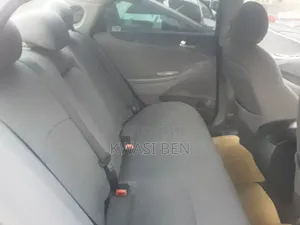 Hyundai Sonata 2010 Gray
