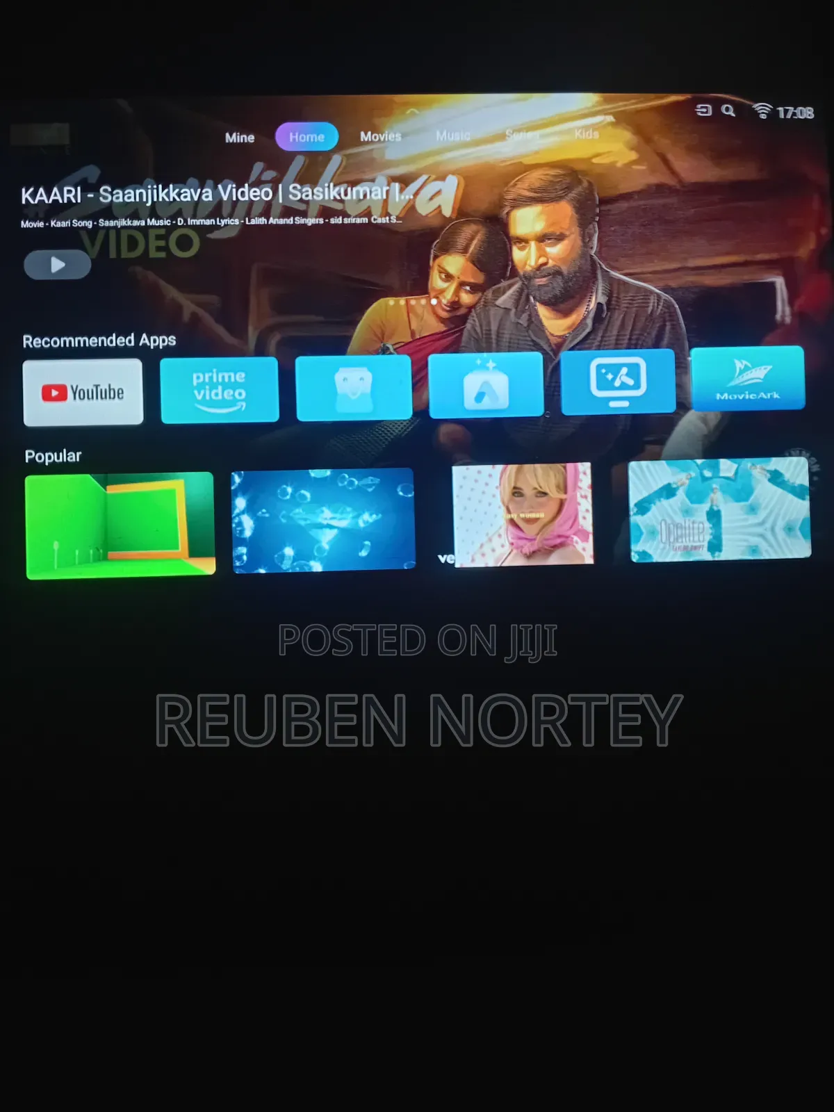 43 Sunnywalk Smart TV