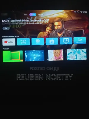43 Sunnywalk Smart TV