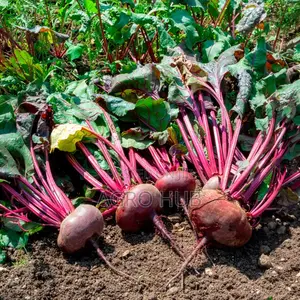 Beet Crimson Globe 100 Gram Sachet