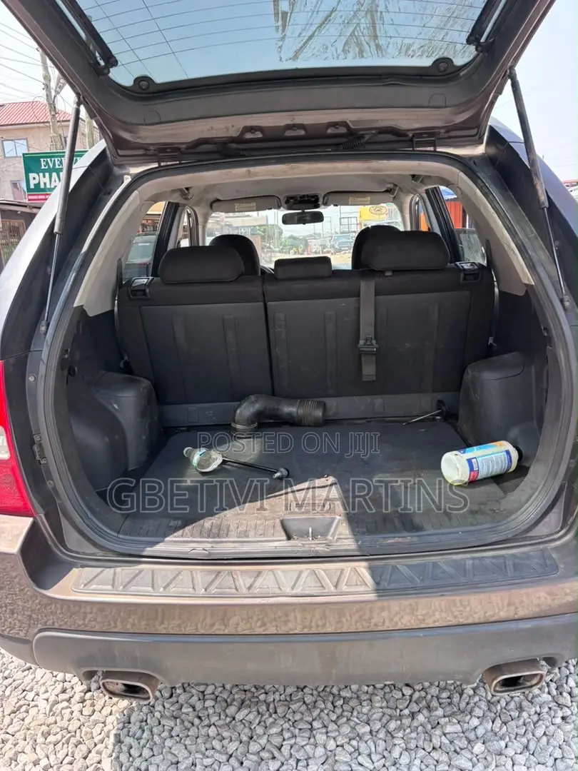 Kia Sportage 2009 Brown
