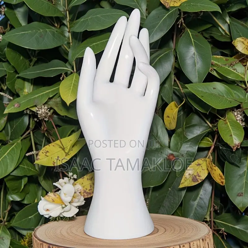 Hand Model Display Rack/ Holder