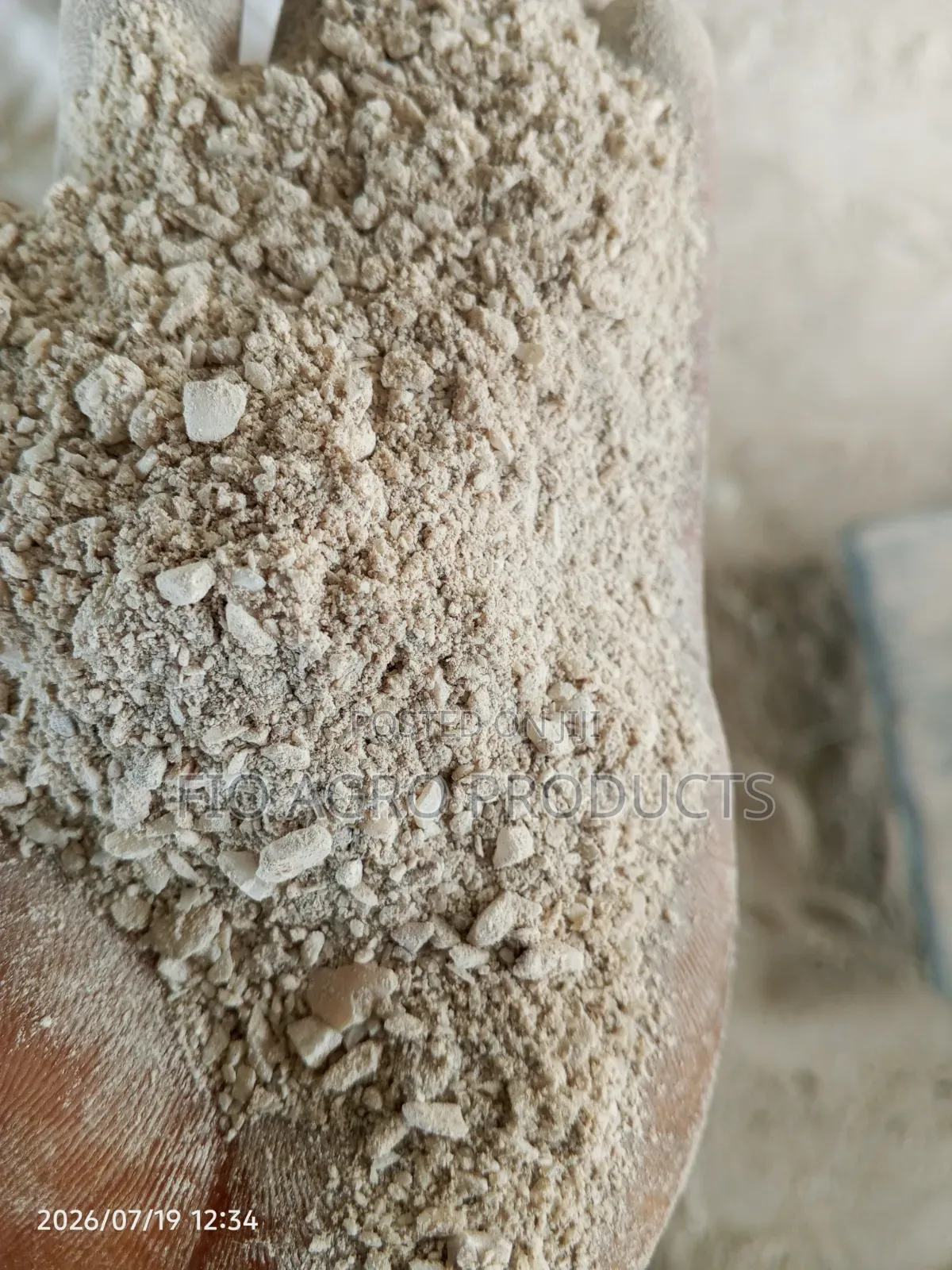 Oyster Shells