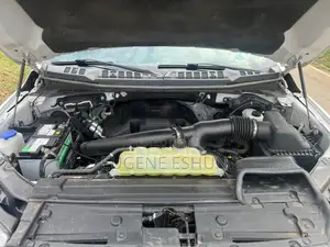 Ford F-150 2019 White