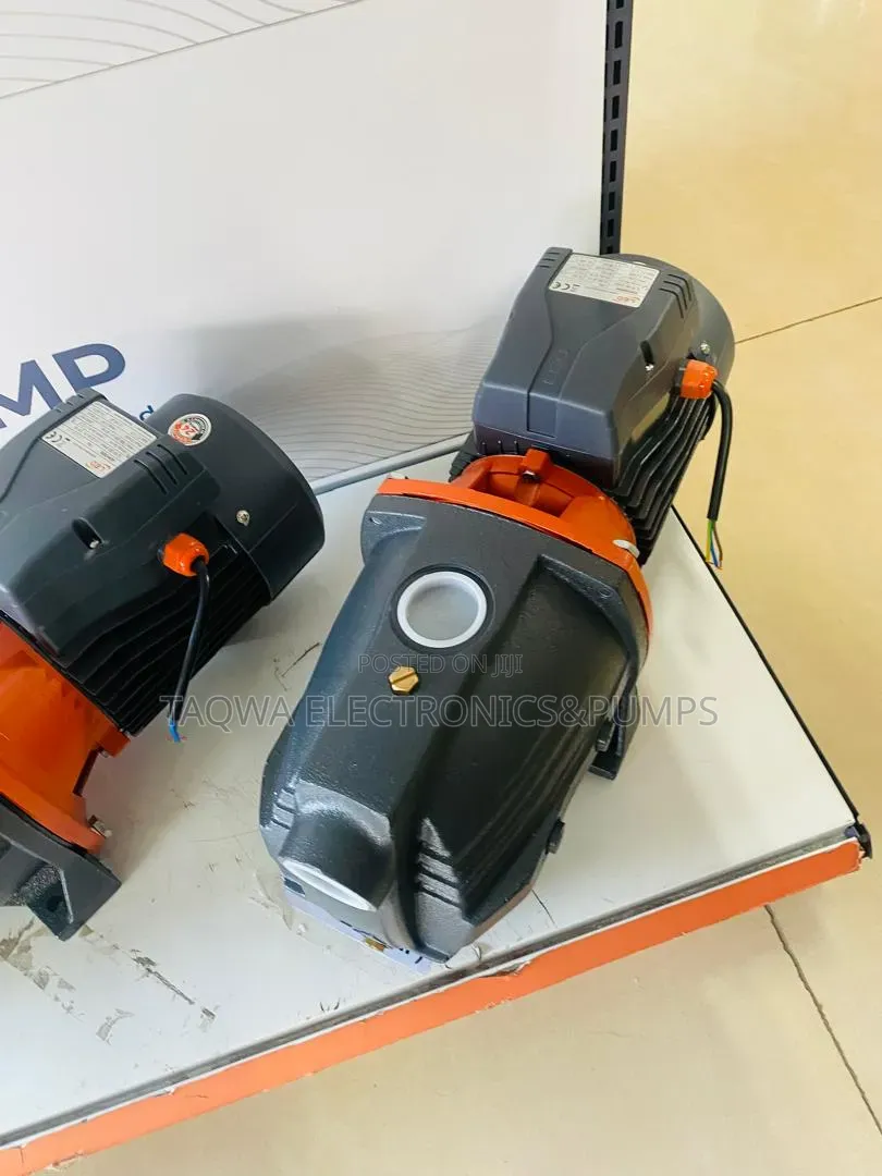 1st Class Leo 3hp Cast Pump