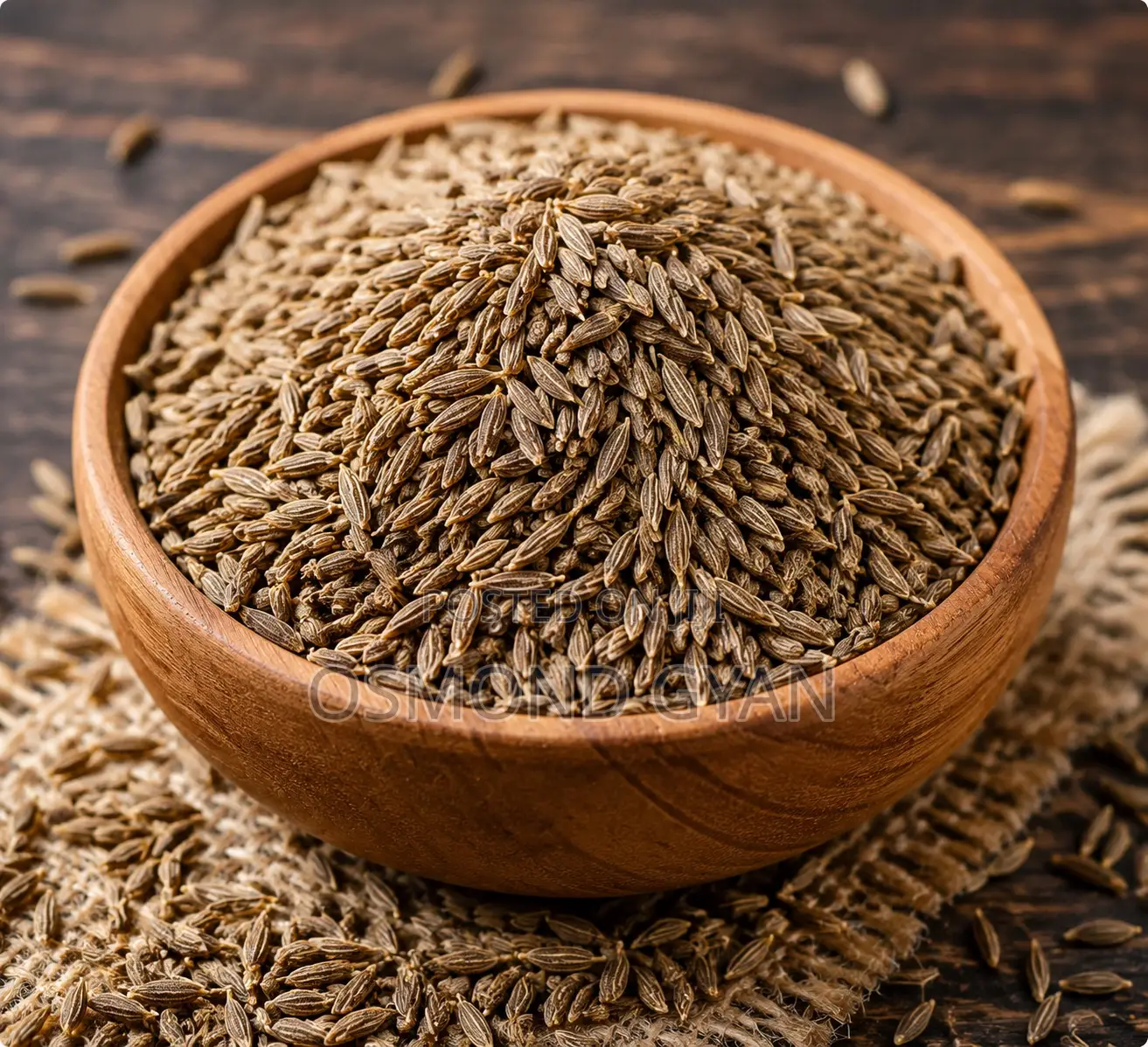 Cumin Seeds