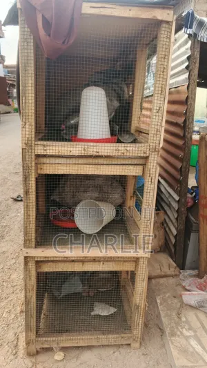 Space-Saving 3-Level Wooden Animal's Cage