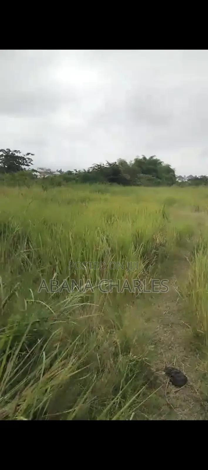 Am Selling My Own Property