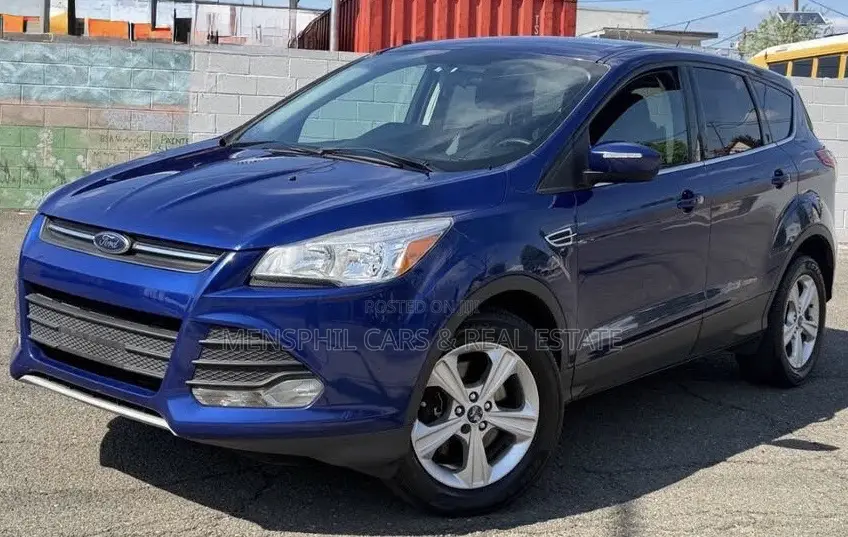 Ford Escape 2014 Blue