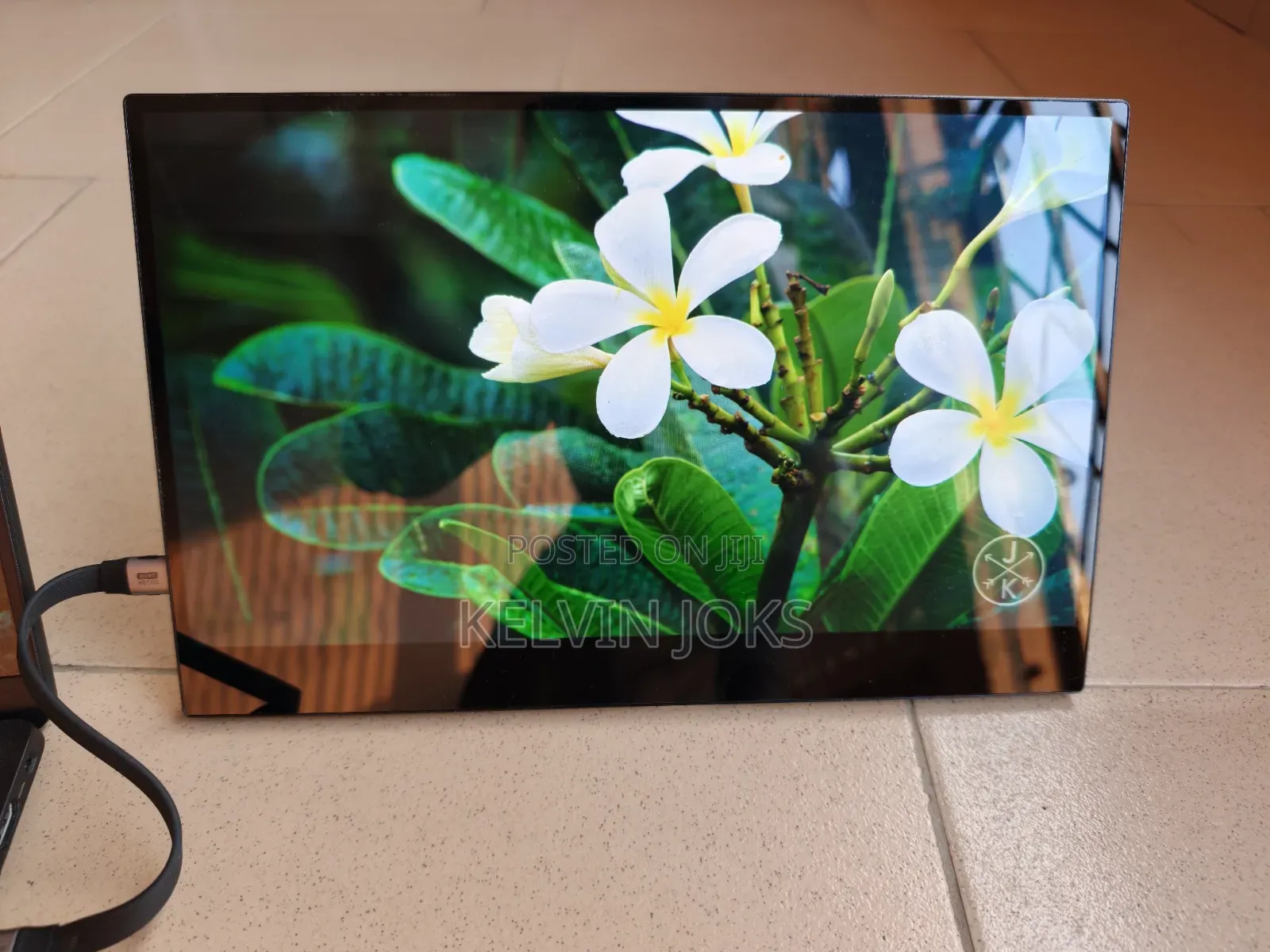 Portable Oled Monitor