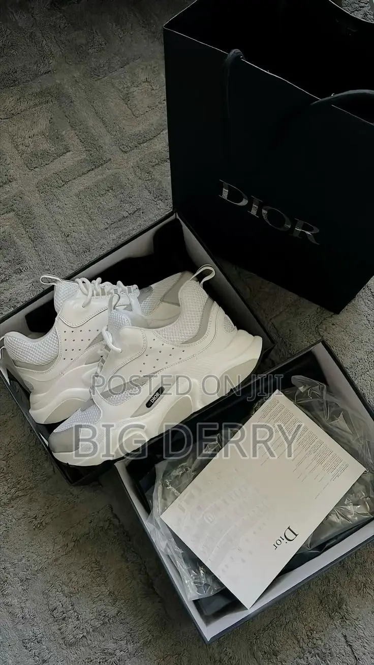 Dior B22 Sneaker