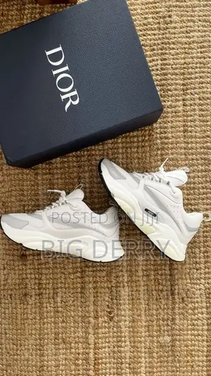 Dior B22 Sneaker