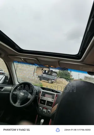 Subaru Forester 2010 Gray