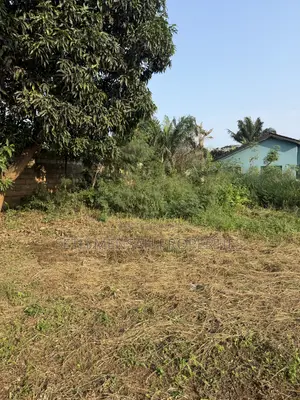 One Plot of Land for Sale at HAATSO Melcom Area