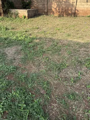 One Plot of Land for Sale at HAATSO Melcom Area
