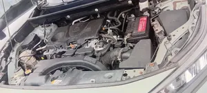 Toyota RAV4 2021 Green