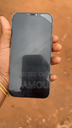 Apple iPhone 12 Pro Max 256 GB Black