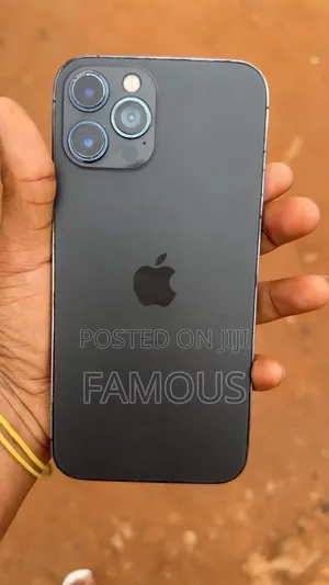 Apple iPhone 12 Pro Max 256 GB Black