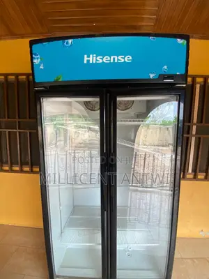 Hisense Double Door Commercial Display Fridge