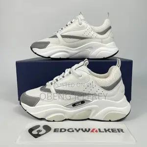 Original Dior B22 White