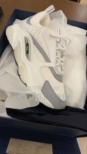 Original Dior B22 White