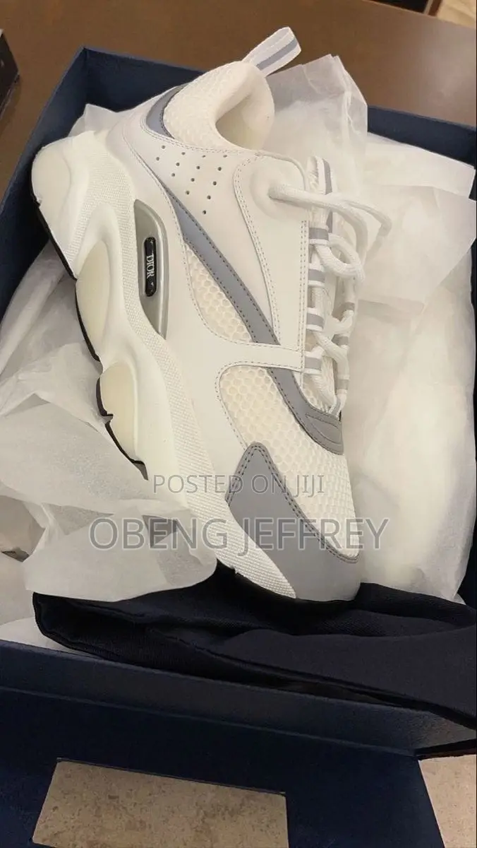 Original Dior B22 White