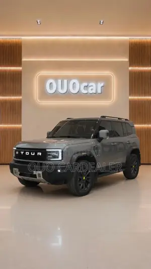 Jetour T2 2.0 Petrol AWD 2023 Silver