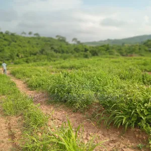 Land Available at Adamrobe