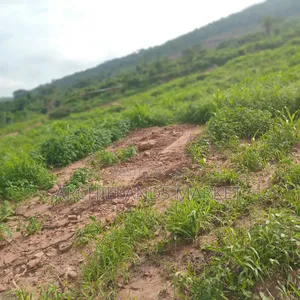 Land Available at Adamrobe