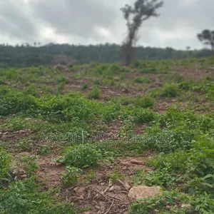 Land Available at Adamrobe