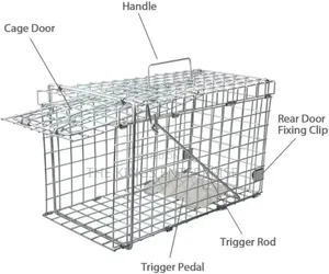 Bush Meat Animal Trap / Cage