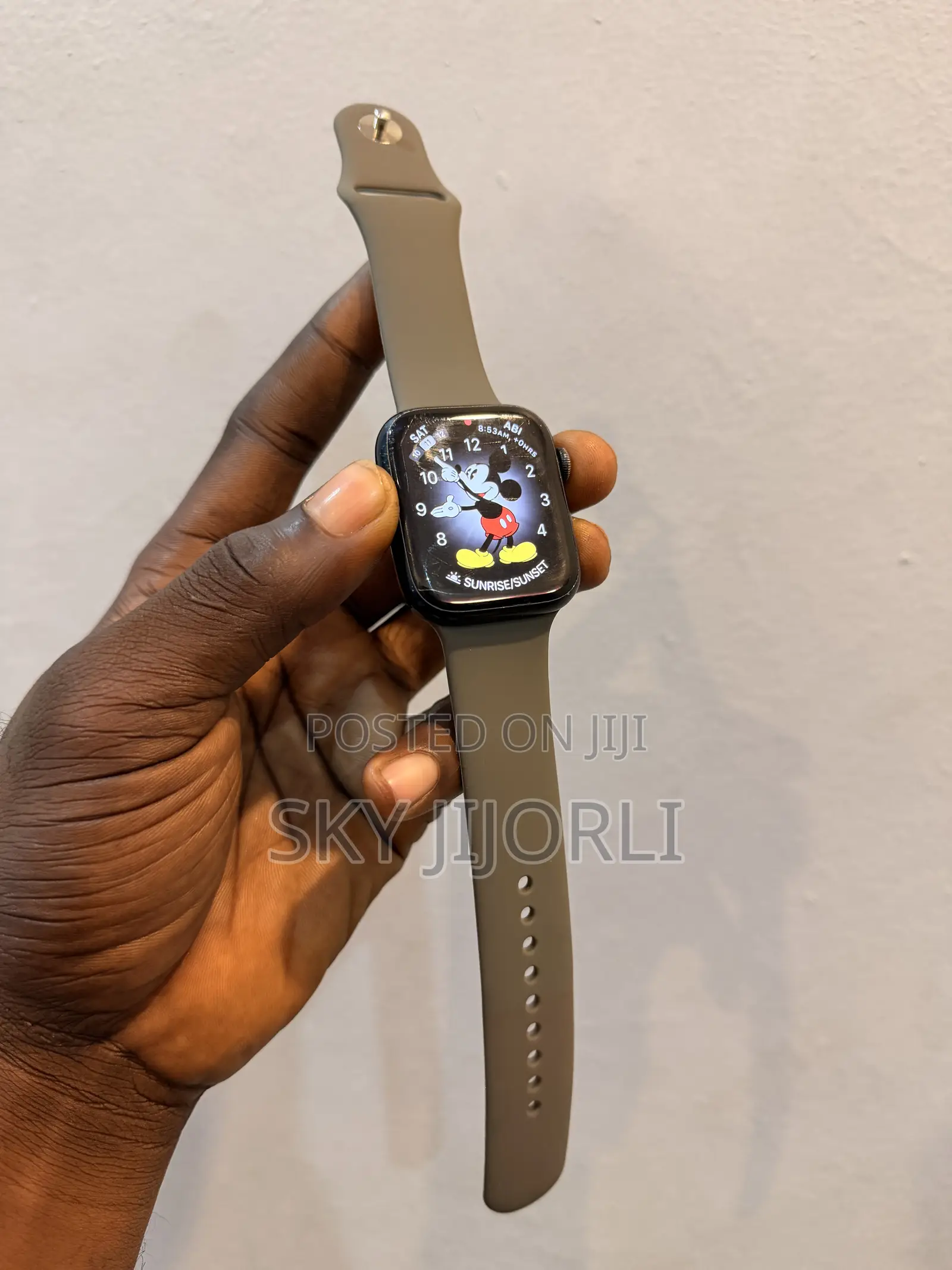 Apple Watch Series 8(GPS +Cellular)