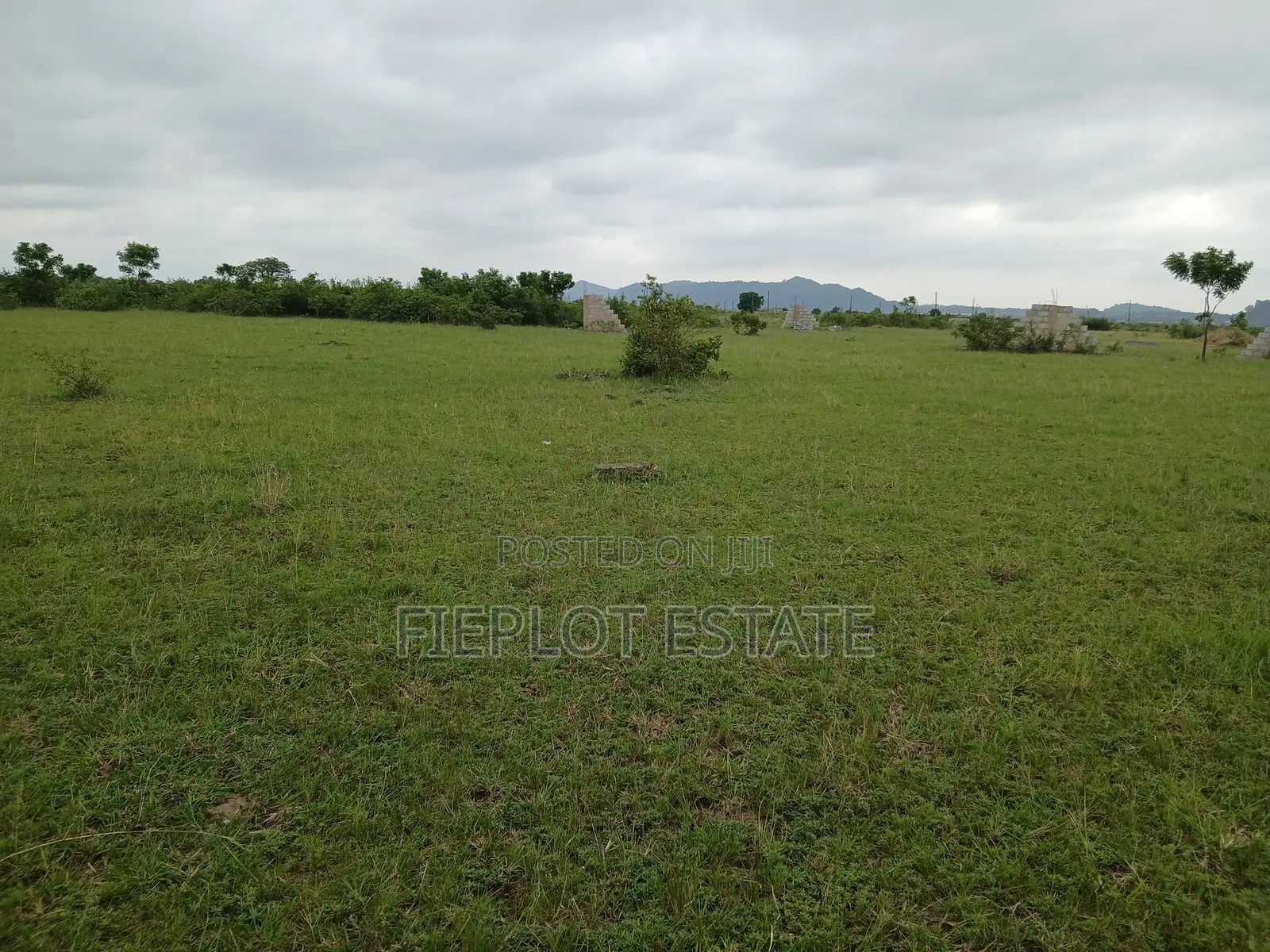 1. Own Full Plot at Shai Hills