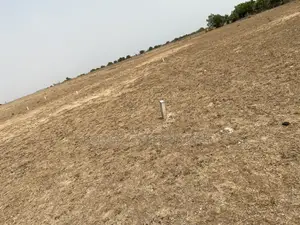 Stop Renting. Start Building. (Prampram) - Genuine Lands for Sale (A)