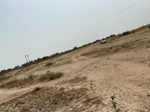 Genuine Full Plots = (Prampram -Airport City) Genuine Lands for Sale !