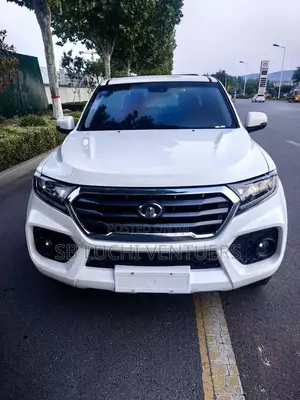 Great Wall Wingle 2019 White