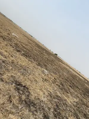 Noe Selling = (Prampram AIRPORT CITY) FULLY GENUINE LANDS ! 
