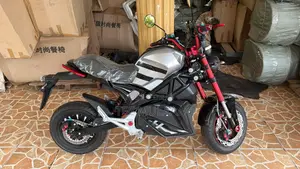 New Motorcycle 2025 Gray