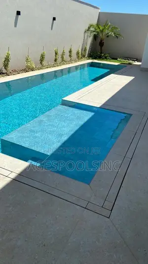 Swimming Pool Cleaning