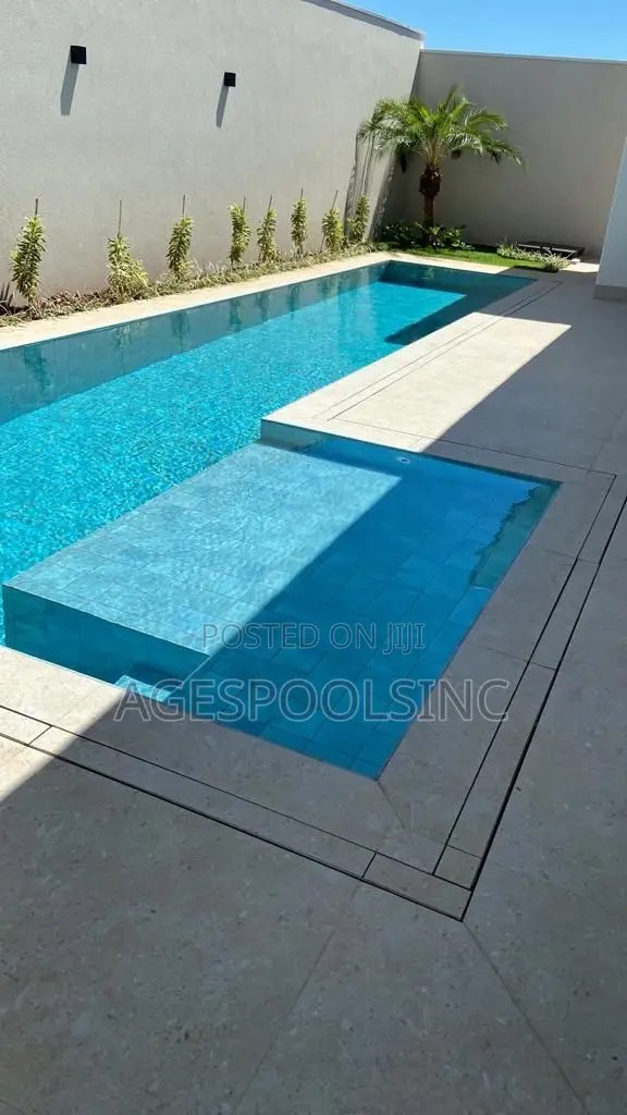 Swimming Pool Cleaning