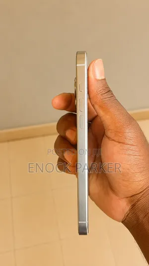 Apple iPhone 16 Pro Max 1 TB Silver