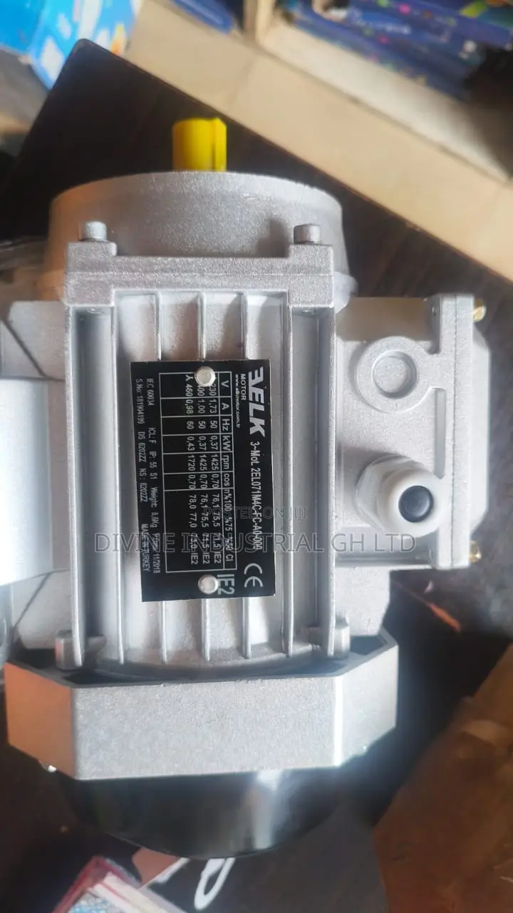 Electric Motor