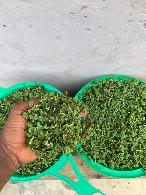 Azzola Plant Seed