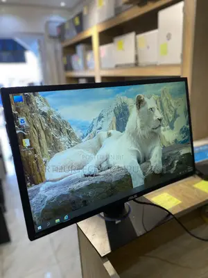 ASUS Vg245 Monitor