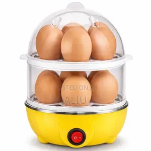 Double-Layer Electric Egg Boiler