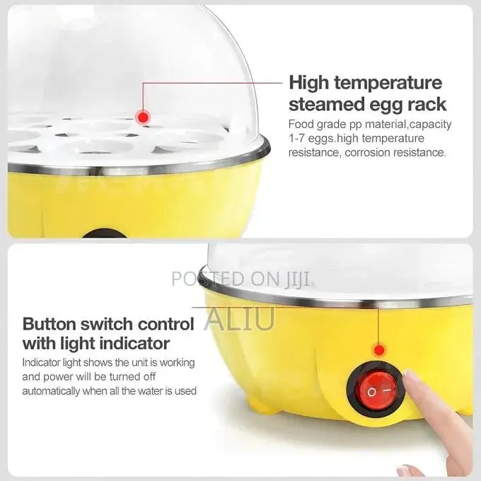 Double-Layer Electric Egg Boiler